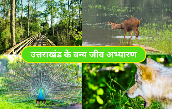 Wildlife-Sanctuaries-of-Uttarakhand